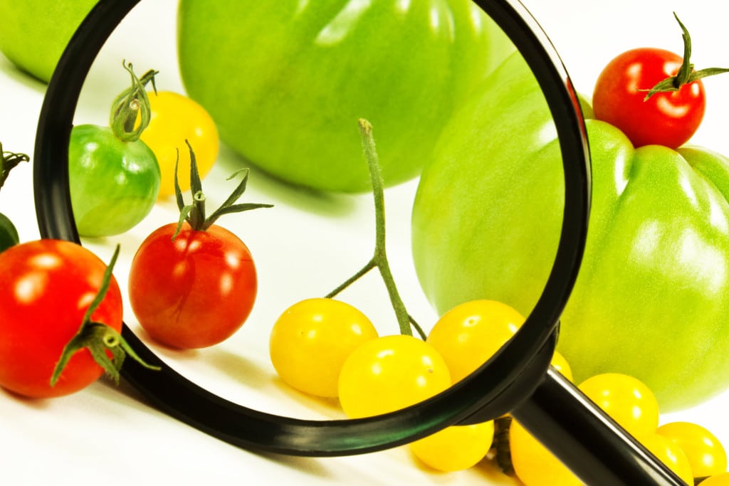 Politica Calidad empresas alimentación